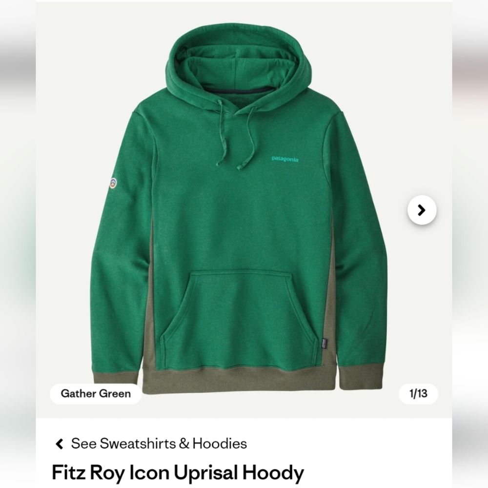 Patagonia NWT Fitz Roy Hoodie
